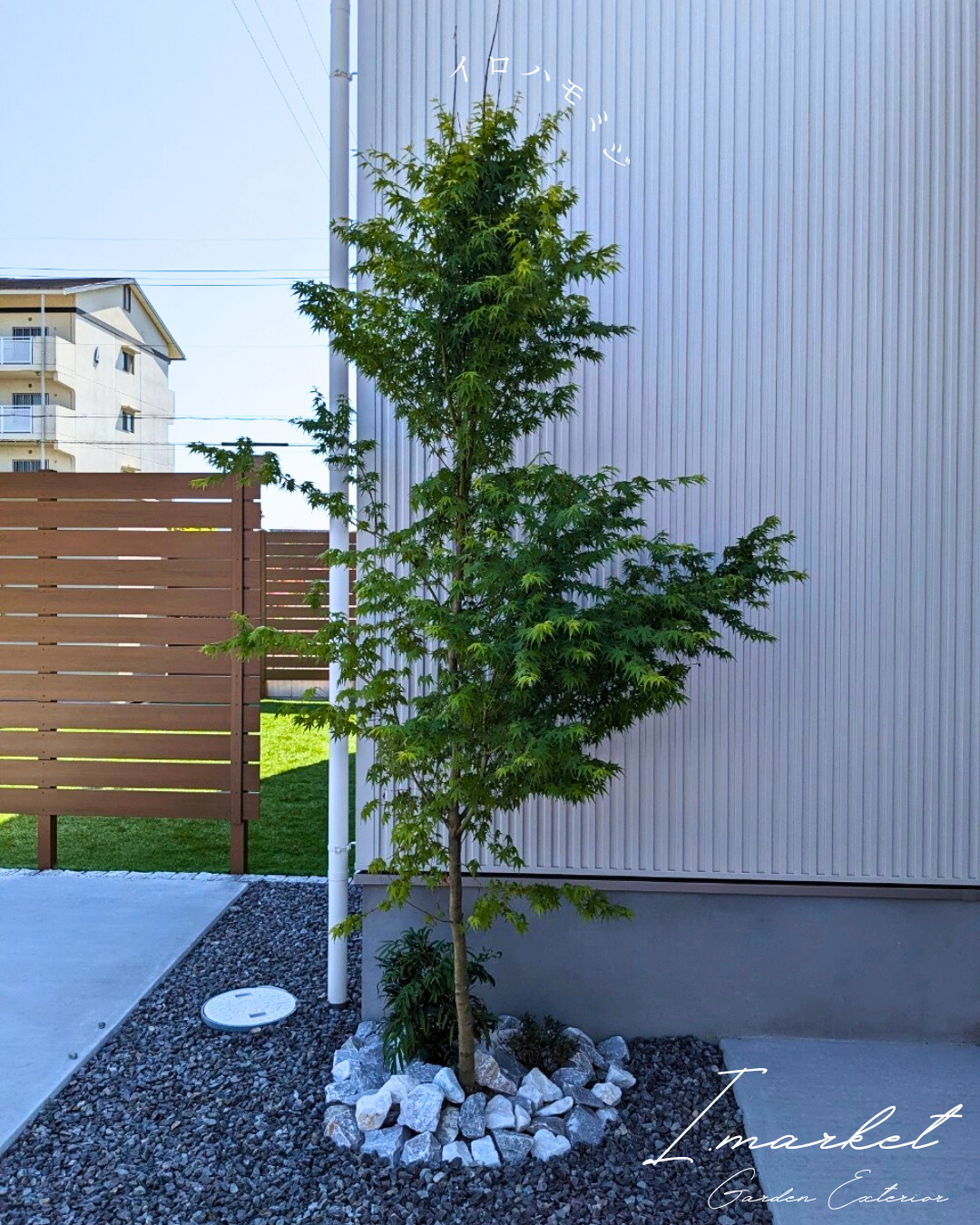 植栽